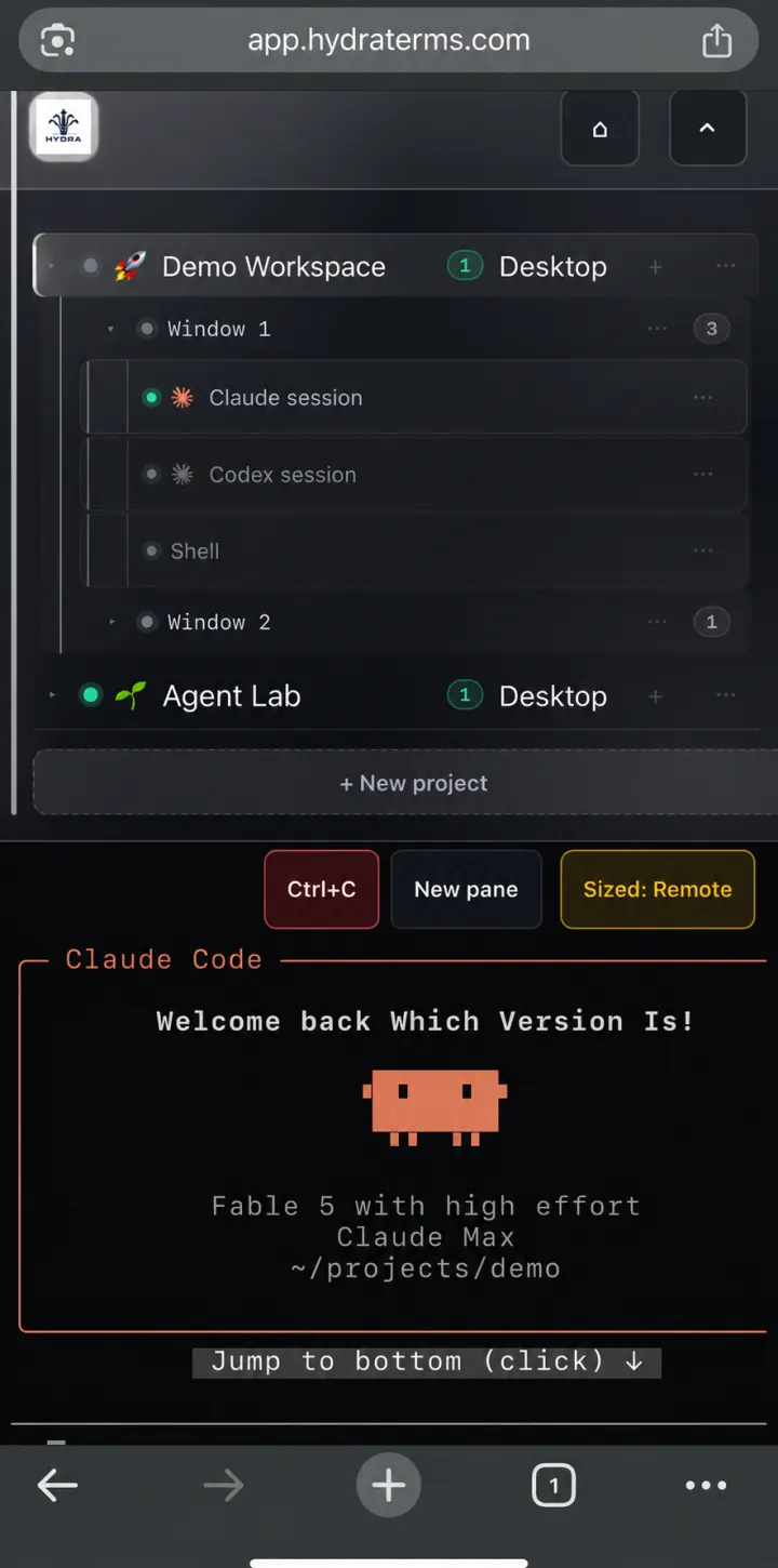 Real mobile-browser Hydra capture showing the project tree and an agent terminal.